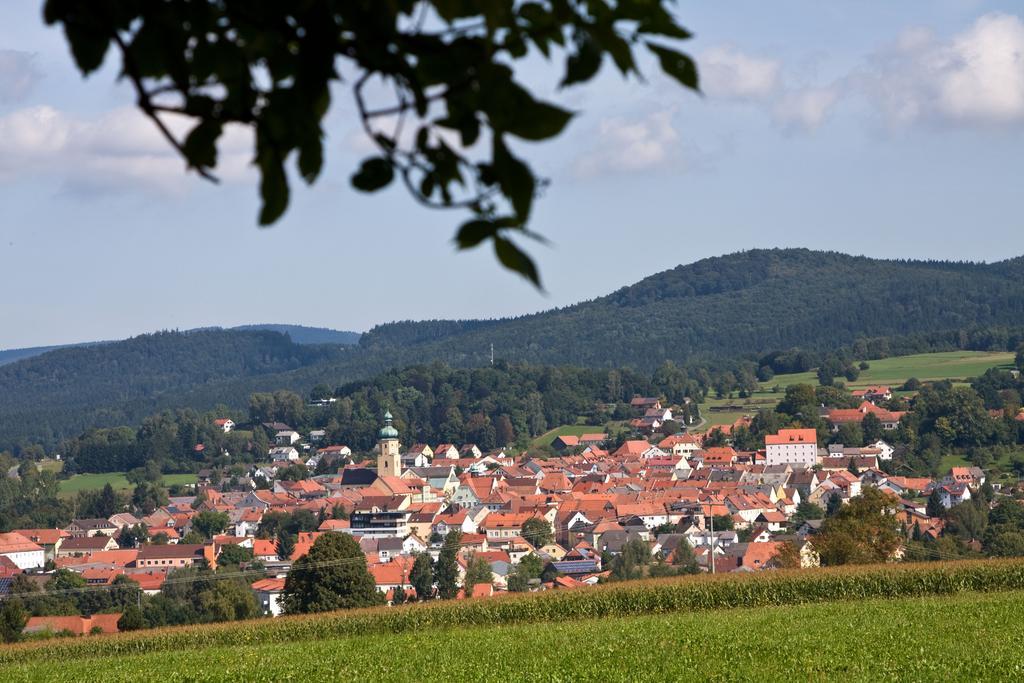 Daschner Gmbh Waldmünchen Exterior foto