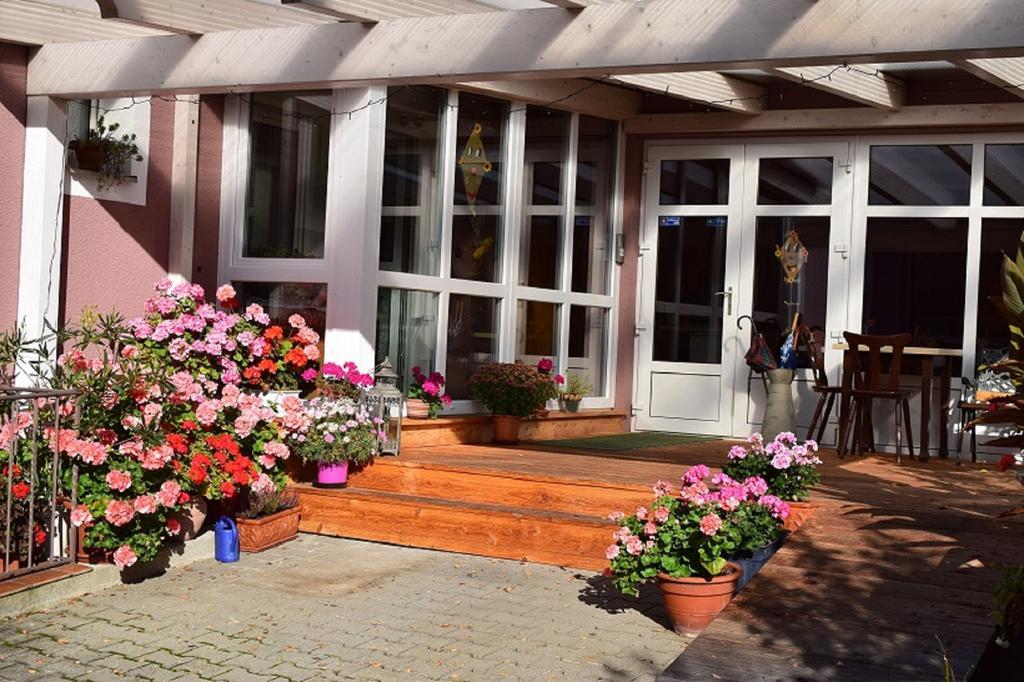 Daschner Gmbh Waldmünchen Exterior foto